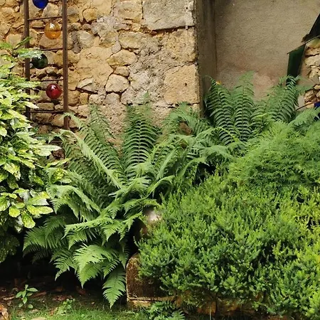 Carpe Diem 3* سانت-سافين