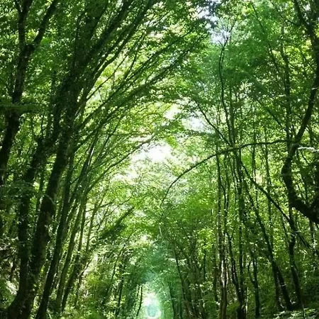 بيت ضيافة Carpe Diem